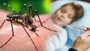 Dengue sting started scaring Jalandhar residents, 20 year old girl died in Cantt area